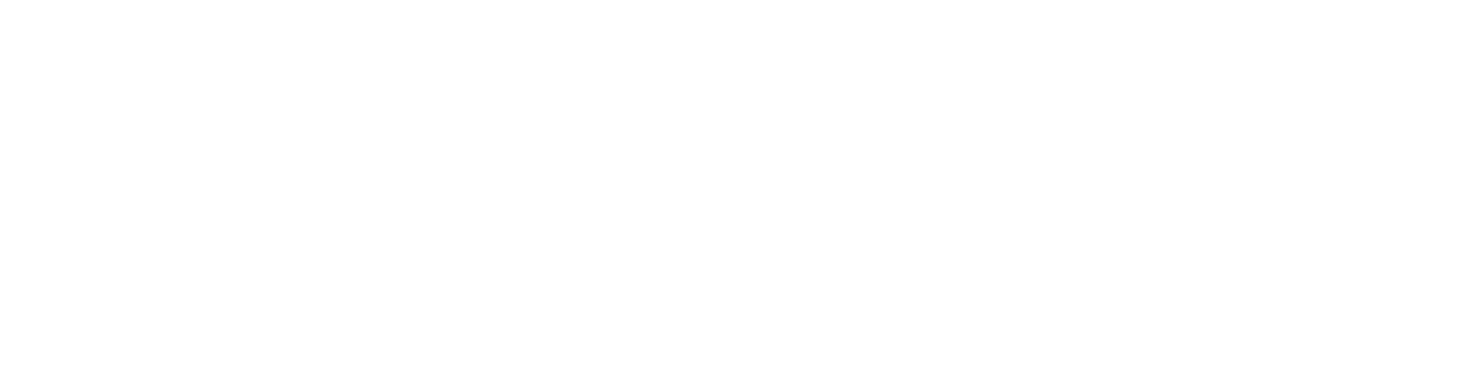 BOSS Consult